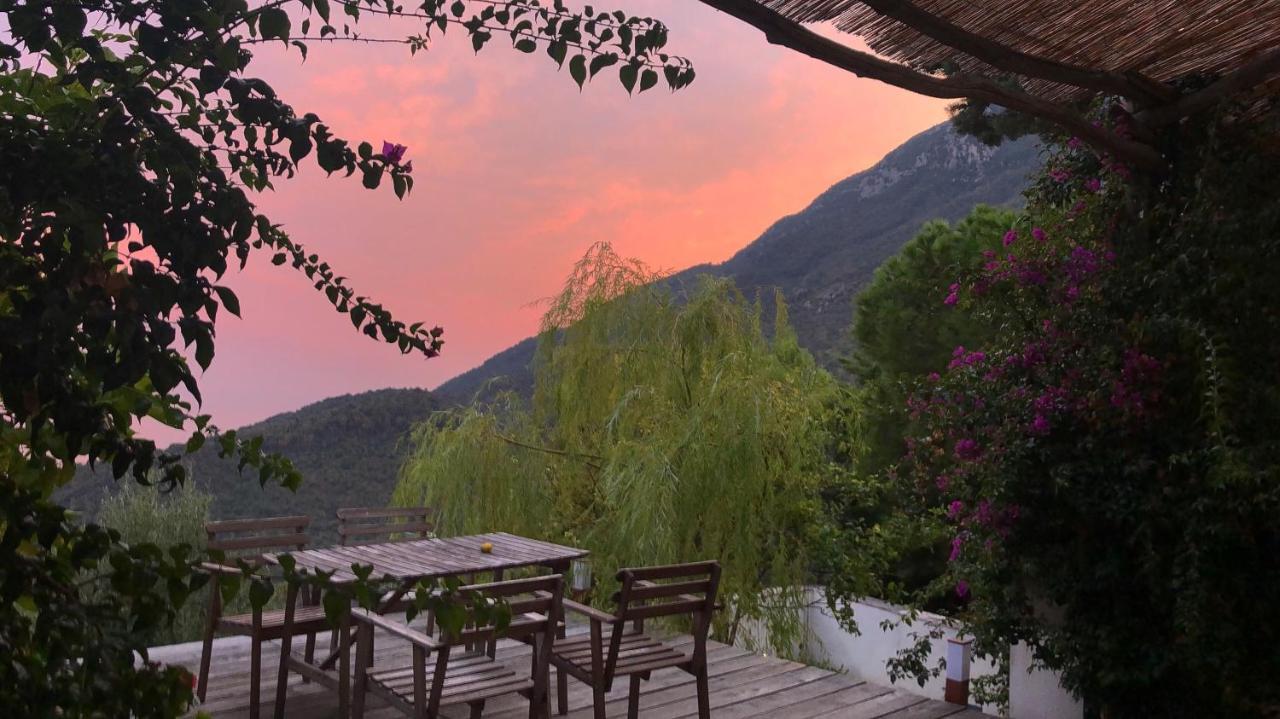 مبيت وإفطار Vietri Casa Flora المظهر الخارجي الصورة