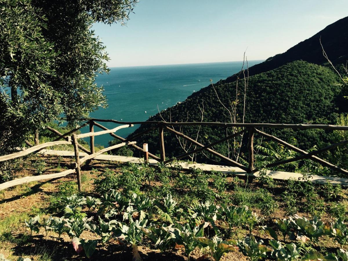 مبيت وإفطار Vietri Casa Flora المظهر الخارجي الصورة