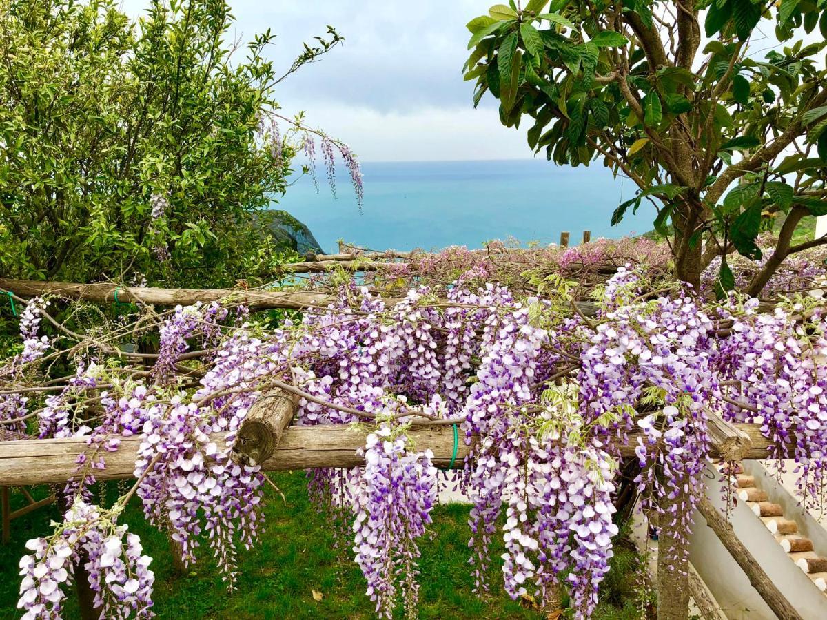 مبيت وإفطار Vietri Casa Flora المظهر الخارجي الصورة
