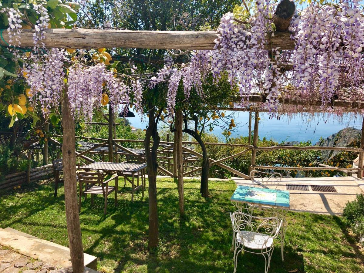 مبيت وإفطار Vietri Casa Flora المظهر الخارجي الصورة