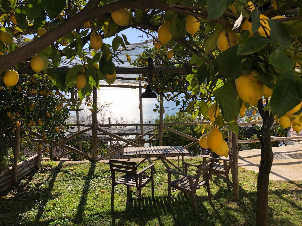 مبيت وإفطار Vietri Casa Flora المظهر الخارجي الصورة