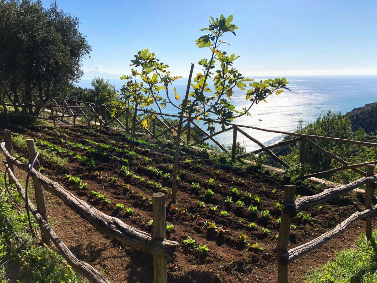 مبيت وإفطار Vietri Casa Flora المظهر الخارجي الصورة