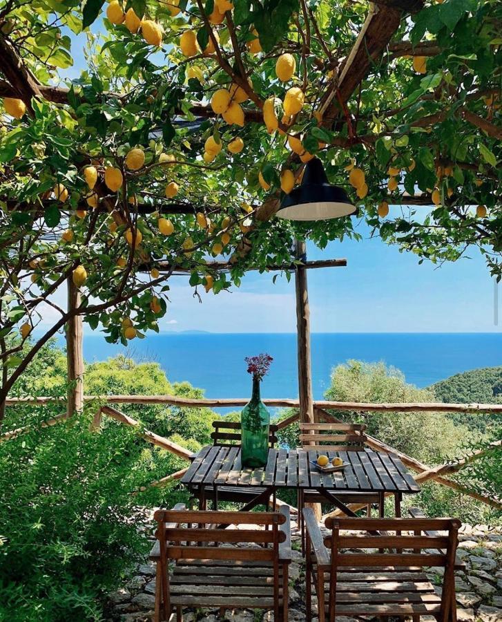 مبيت وإفطار Vietri Casa Flora المظهر الخارجي الصورة
