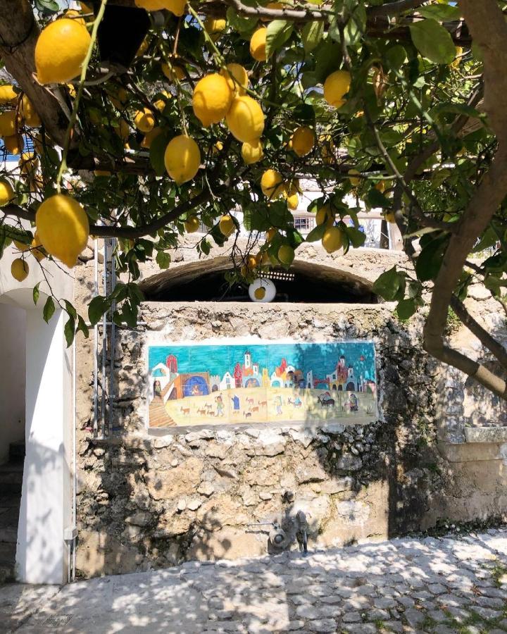 مبيت وإفطار Vietri Casa Flora المظهر الخارجي الصورة