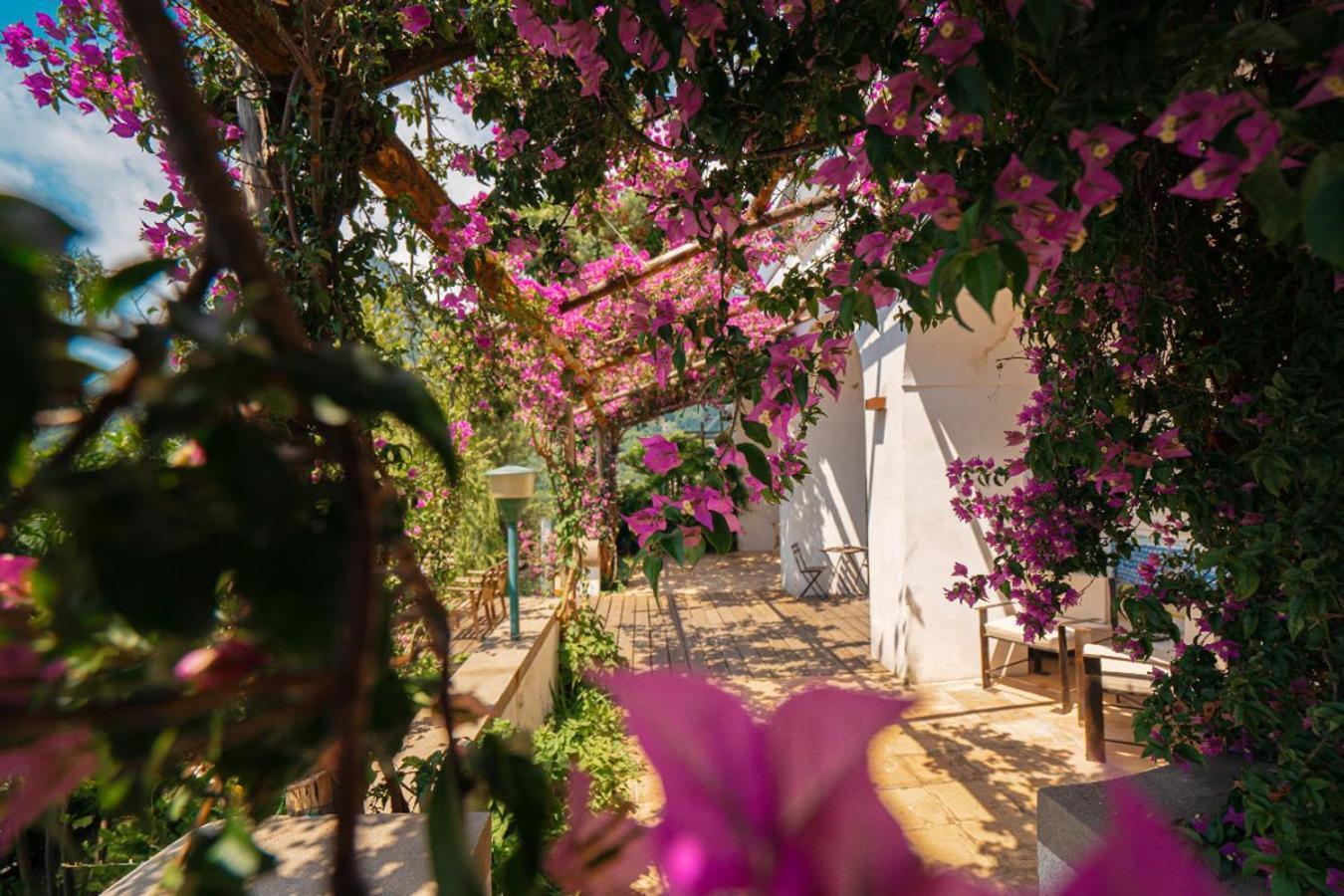 مبيت وإفطار Vietri Casa Flora المظهر الخارجي الصورة